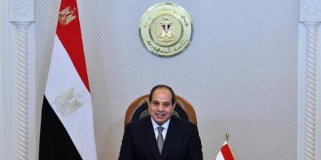 السيسي: توافق مصري جزائري على ضرورة وقف إطلاق النار في السودان وتشكيل حكومة