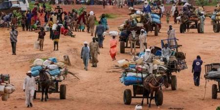 المملكة تعرب عن قلقها إزاء استمرار القتال وتصاعد أعمال العنف في السودان