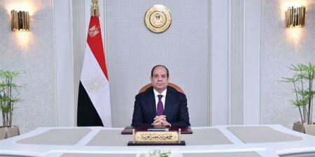 السيسي يكشف عن مجالات التعاون بين مصر وإستونيا