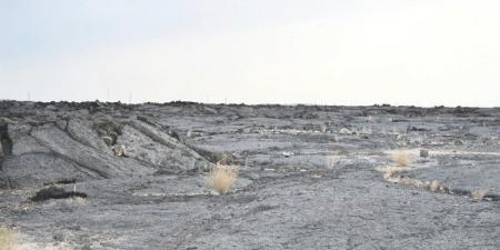 الحرّات البركانية في المدينة.. معالم جيولوجية ولوحات طبيعية