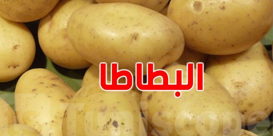 الانطلاق في توزيع المخزون التعديلي لمادة البطاطا بولاية نابل