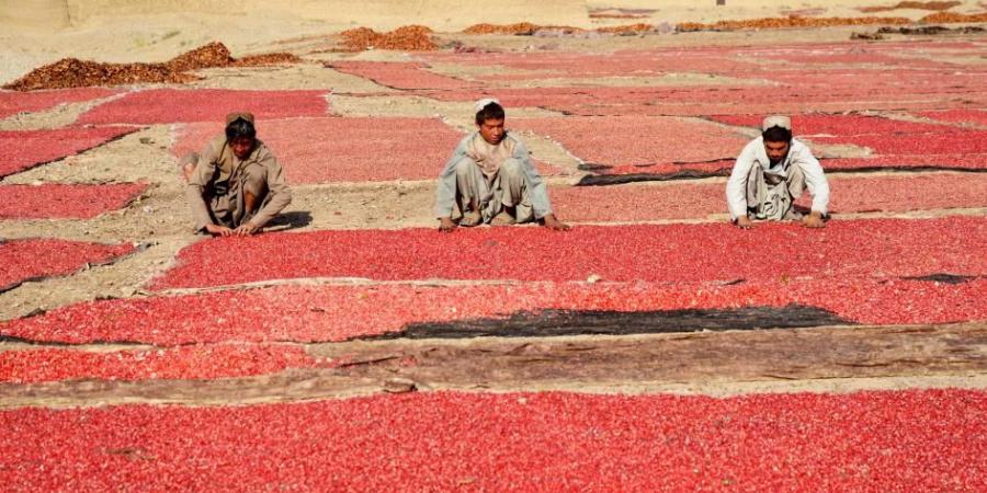 روسيا تدعو الغرب إلى رفع العقوبات عن أفغانستان