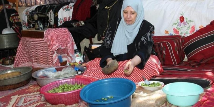 «عجلون عاصمة الزيتون» في الأردن