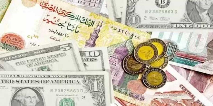 الدولار يسجل 48.47 جنيه للشراء.. أسعار العملات الأجنبية اليوم الأربعاء