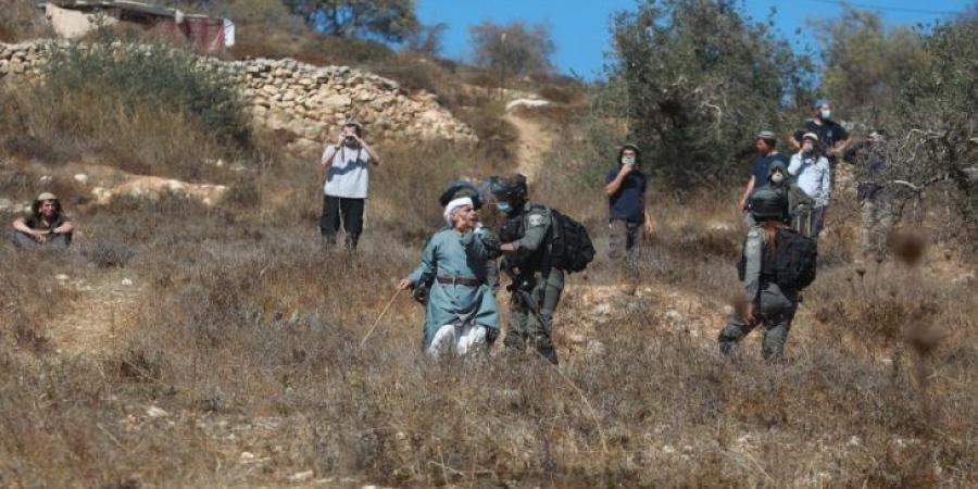 القاهرة الإخبارية:اعتداءات على المزارعين والأراضي الفلسطينية