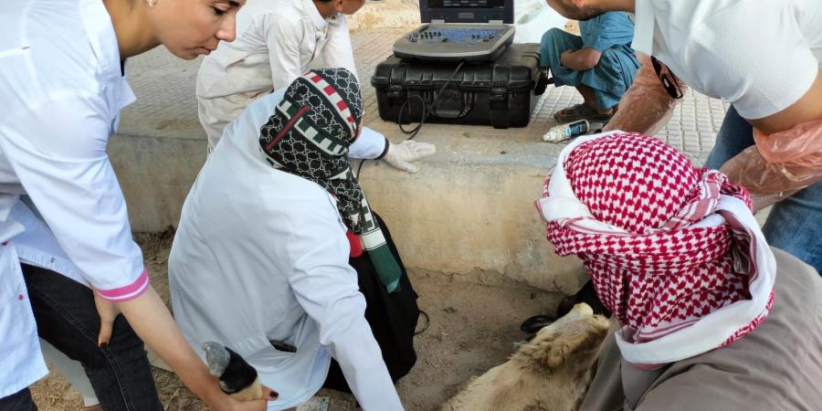 جامعة مطروح تنظم قافلة توعوية إرشادية شاملة بقرية الجفيرة