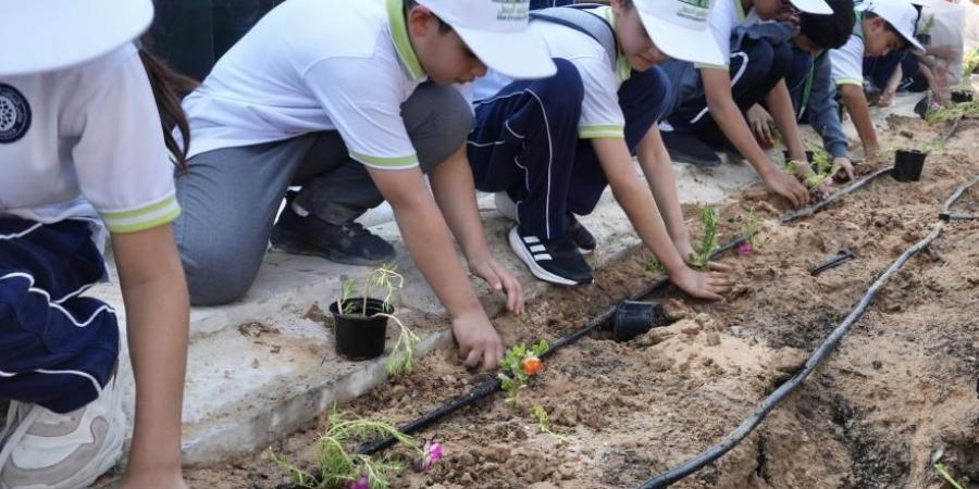 مدينتي أجمل.. فعالية للحفاظ على المظهر الجمالي بأبوظبي