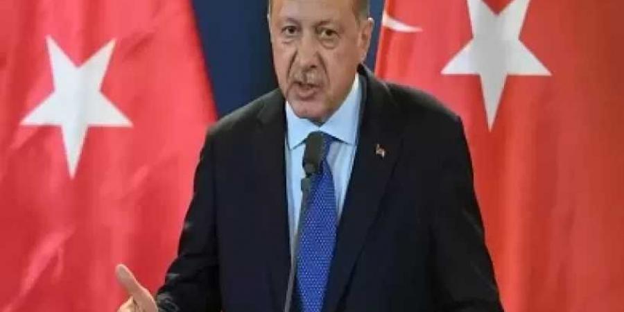 أردوغان: أفعال إسرائيل في غزة ولبنان تهدد الأمن العالمي