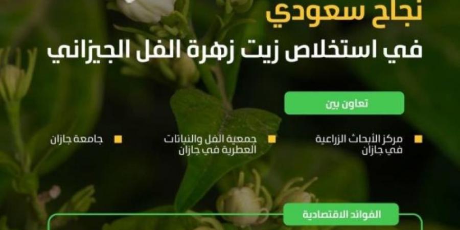 "البيئة": نجاح استخلاص زيت زهرة الفل الجيزاني واستخدامه في الصناعات الغذائية والعطرية