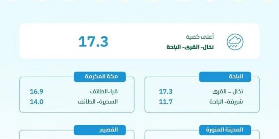 «البيئة»: 8 مناطق تسجل هطول الأمطار في 36 محطة والباحة تتصدر ب 17.3 ملم