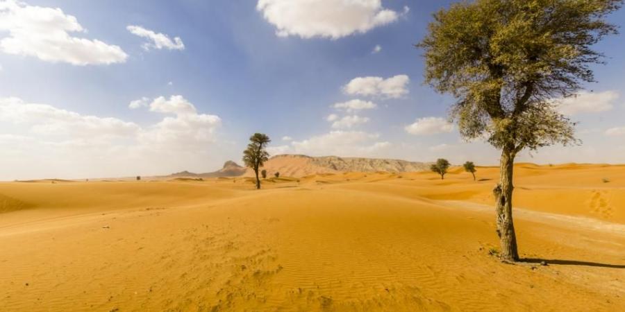 «الأرصاد الجوية»: ارتفاع قياسي لمستويات «غازات الاحترار»