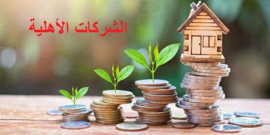 دعوة إلى الترفيع في سقف التمويل