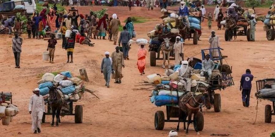 المملكة تعرب عن قلق إزاء استمرار القتال وتصاعد أعمال العنف في السودان