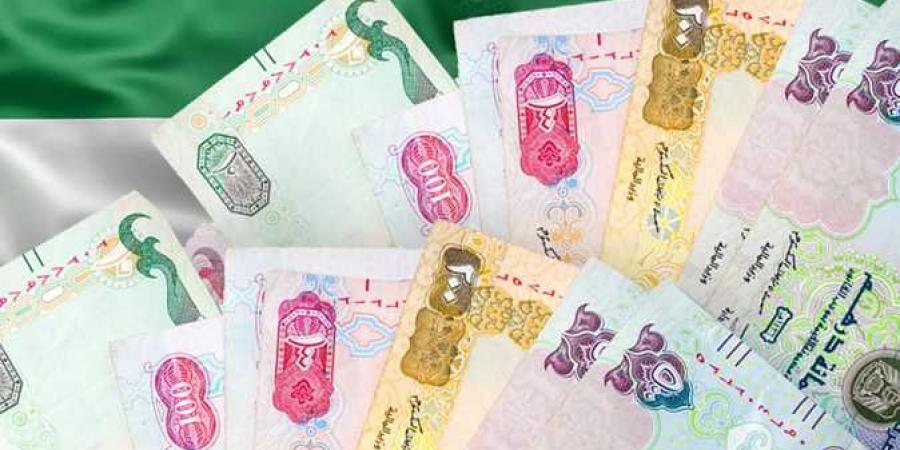 سعر الدرهم الإماراتي اليوم الثلاثاء 5-11-2024