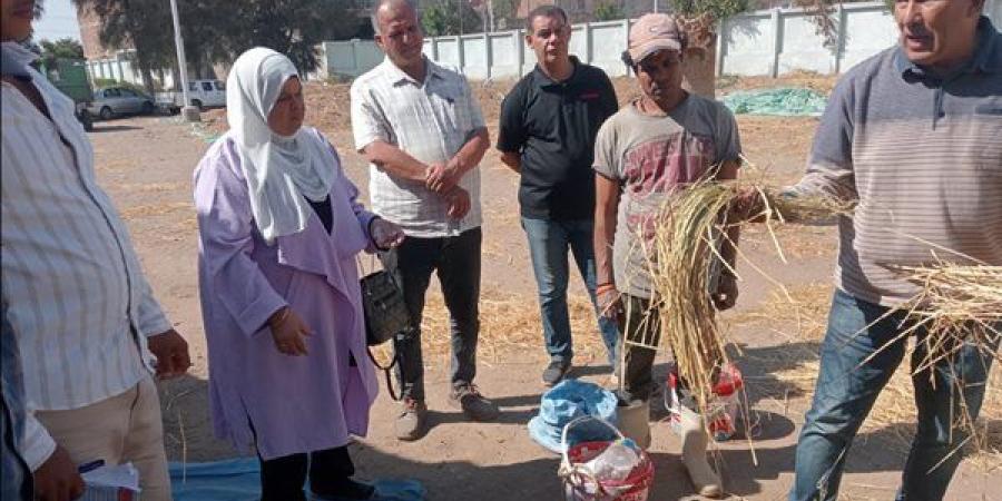 "الزراعة" تنشر حصاد أنشطة "المركزية للإرشاد الزراعي" خلال أكتوبر