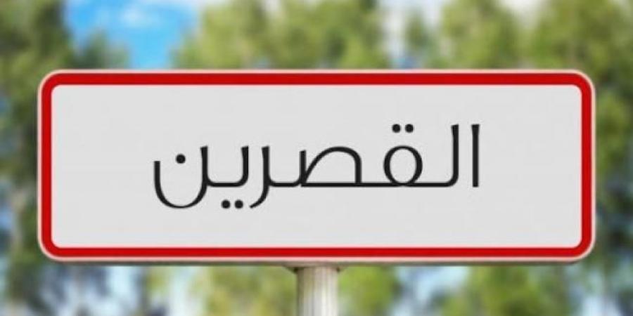 القصرين: برمجة 85 ألف هكتار من الحبوب المروية والمطرية خلال الموسم الفلاحي الحالي