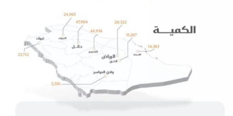 الأمن الغذائي : صرف 363 مليون ريال مستحقات لمزارعي القمح المحلي